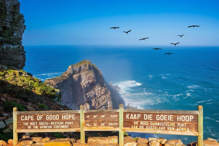 Cape Peninsula Half Day