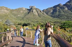 Kirstenbosch, Bo-Kaap & Penguins